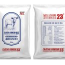 넥서스트레이더스 이미지