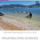 제27회 바다의 날...창원시 진해루 등에서 해양정화 활동(진해루) 이미지