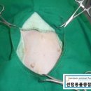 센텀동물종합병원 이미지