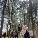 W지우리조트 | [가평 숙소] W지우리조트 가평 남이섬 숙소 후기