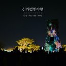 월성별빛달빛 | 11월 경주야경투어 추천 아이와 즐기는 신라별빛야행 솔직후기