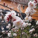 매화도서관 이미지