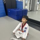 국가대표청룡태권도장 이미지