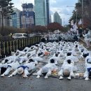 내년도 예산안 국회 증액 없이 통과, 장애계 투쟁 물거품 이미지