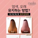 미용재료미엘