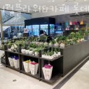 제너럴플라워&카페