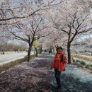 날마다장터 이미지