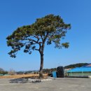 고잔3리마을회관 이미지