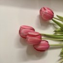 배떡조천