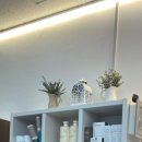 에코헤어 이미지