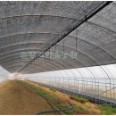 솔향기하우스 이미지