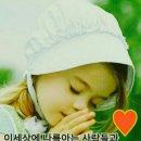 수원올림픽공원 Daum카페