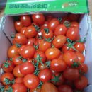 드림마트2호점 | 장보고식자재마트 오픈 3일간 잠시 방문후기