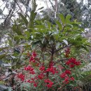 별이네농장 이미지