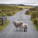 계명농장 이미지