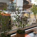 쁠랑(Plan) 이미지