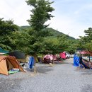 초록슈피아캠핑장 이미지