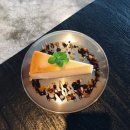 딜루디움 이미지