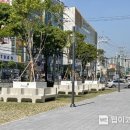 검배로 이미지