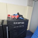 포항레슬링 팀헐크 이미지