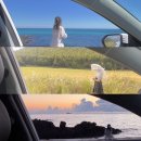 [문화여행] 제주 나 혼자 간다 | 나혼자 제주여행 5일차(각자의섬, 세화소품샵투어, 지토의숲, 제주송당마을, 선흘리후박나무길...