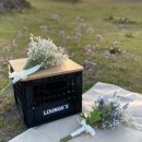 커피라운지 앞 이미지