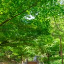 달마을공원 네이버블로그