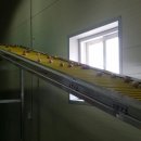 샘밭 농장 이미지