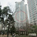 늘조은온누리약국 이미지