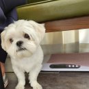 이뻐지는산책 이미지