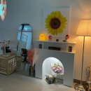 뽑아보세 이미지