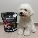 (주) 플러스알파기획 | [강아지 사료추천] 기호성좋은강아지사료 국개대표 올바른끼니 알파 양고기+보스웰리아 급여 후기