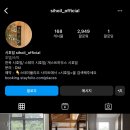 스테이시호일 이미지