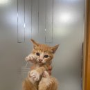 하빈로84길 이미지