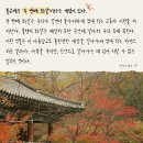 다음 20년, 당신의 도전은 무엇입니까? | 안전의 대가 - 체이스 자비스 | 불확실성을 감수할 때 열리는 진짜 가능성, 삶의 주도권을 되찾는 도전