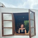 샤인히얼60 이미지