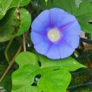 사월애 호텔 이미지