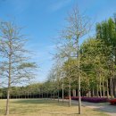 삼호교 화장실 이미지