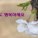 하얀민들레 이미지