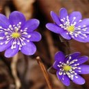 멋진인생 이미지