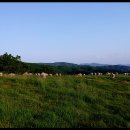 삼성목장 이미지