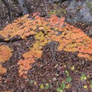 아름다운주유소 화장실 이미지