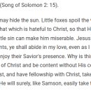 5월30일(화) 스펄전의 아침묵상: 작은 <b>여우</b>