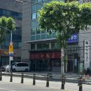 인화반점 이미지