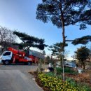 왕소나무집 이미지