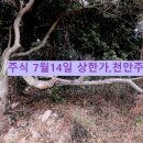 (주)더블유플러스엔터테인먼트 티스토리
