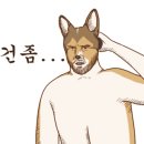 두바이무인텔 이미지