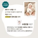 디어베어 이미지
