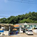언덕위에집민박 | 영덕민박집 언덕위에하얀집에서 즐기는 촌캉스