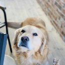 엘가언양카이로스점 이미지